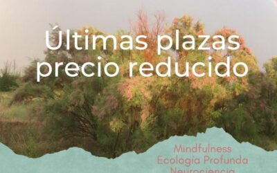 Neurociencia y naturaleza: mente, corazón y juego